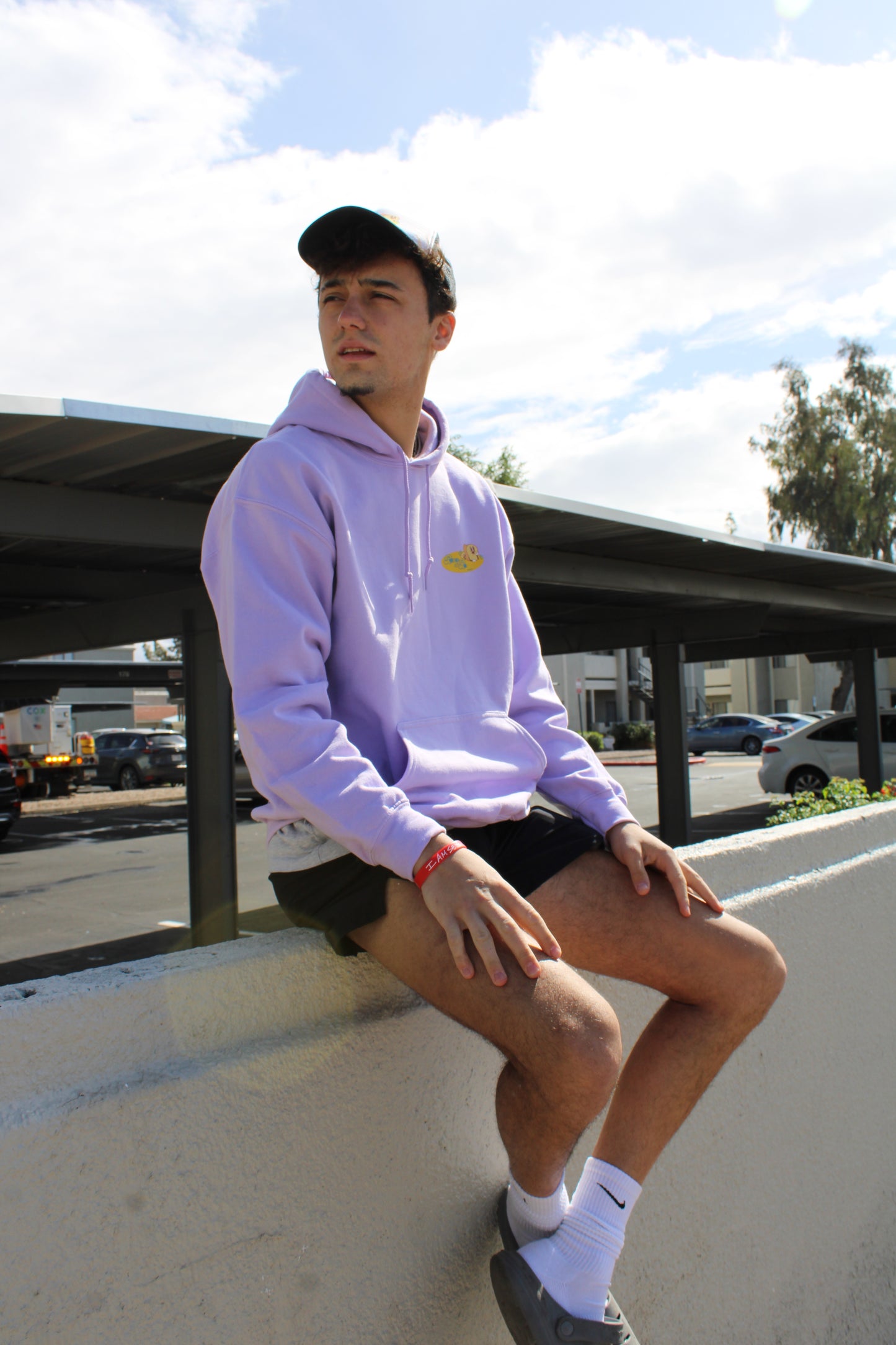 MW "Bread" Brown/Purple Hoodie